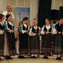 12.šokački divani